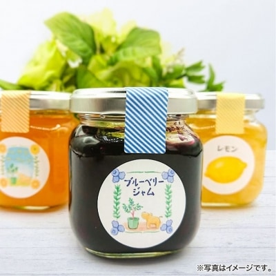 あわじジャム子のおススメジャム3個セット