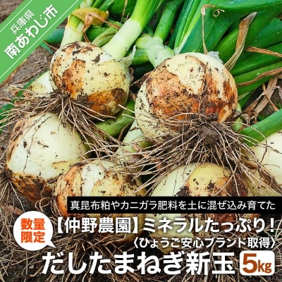 【仲野農園】だしたまねぎ新玉kg