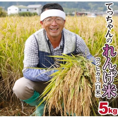 2023年収穫 南あわじ市松帆産 てっちゃんのれんげ米コシヒカリ 5kg(白米)