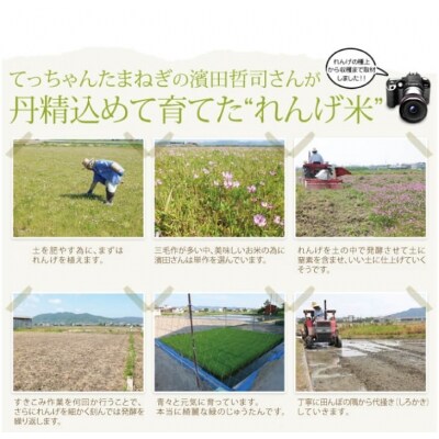 2023年収穫 南あわじ市松帆産 てっちゃんのれんげ米コシヒカリ 5kg(白米)