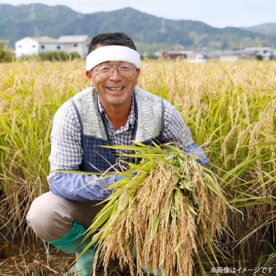 【2026年収穫 南あわじ市松帆産】てっちゃんの新米(5kg) コシヒカリ〈白米〉