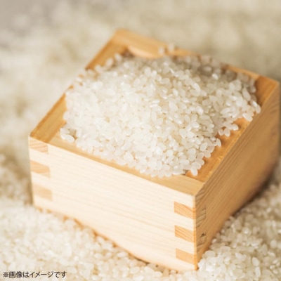 【2026年収穫 南あわじ市松帆産】てっちゃんの新米(5kg) コシヒカリ〈白米〉
