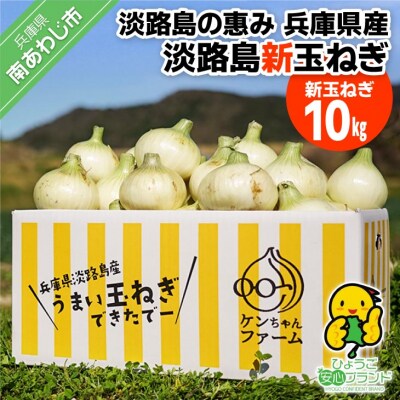 【新玉受付!】【ケンちゃんファーム】＼うまい玉ねぎできたでー/ 特別栽培・新玉ねぎ10kg(早生)