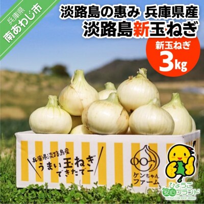 【新玉受付!】【ケンちゃんファーム】＼うまい玉ねぎできたでー/ 特別栽培・新玉ねぎ3kg(早生)