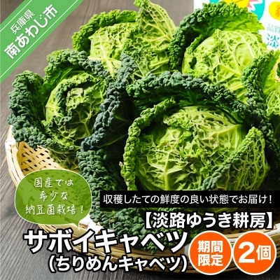 【淡路ゆうき耕房】国産では希少な納豆菌栽培!【期間限定】サボイキャベツ(ちりめんキャベツ)2個