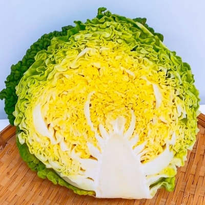 【淡路ゆうき耕房】国産では希少な納豆菌栽培!【期間限定】サボイキャベツ(ちりめんキャベツ)2個