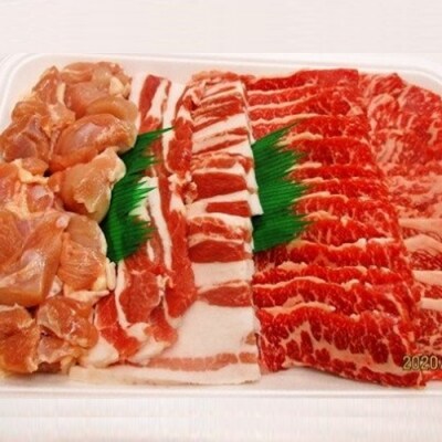 淡路島　バーベキューセット　1kg