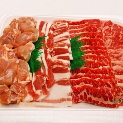 淡路島　バーベキューセット　2kg