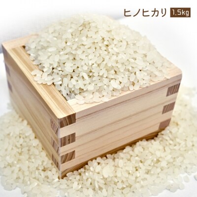 【やさしや】お米と梅干しセット