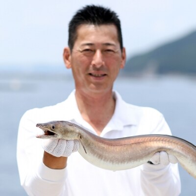【若男水産】淡路島名物!天然鱧を使った鱧<はも>ちりセット(3～4人前)