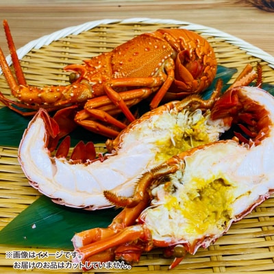 【花光】濃厚な甘みと旨味!天然イセエビボイル(2尾～3尾)【受取も安心♪冷凍便】