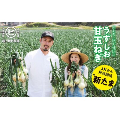淡路島産新玉ねぎ　うずしお甘玉ねぎ　3kg | ふるさと納税のお礼品