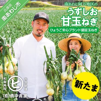 淡路島産新玉ねぎ　うずしお甘玉ねぎ　10kg　◆配送2月下旬～6月下旬