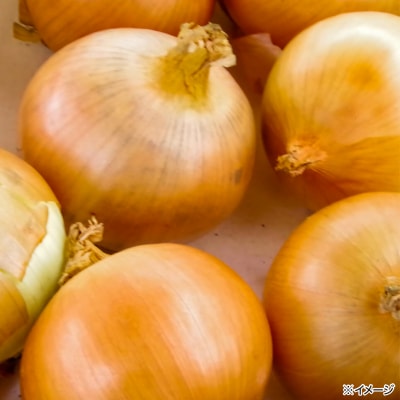 やみつき玉ねぎの淡路牛100%チーズINハンバーグ150g×10個(冷凍)