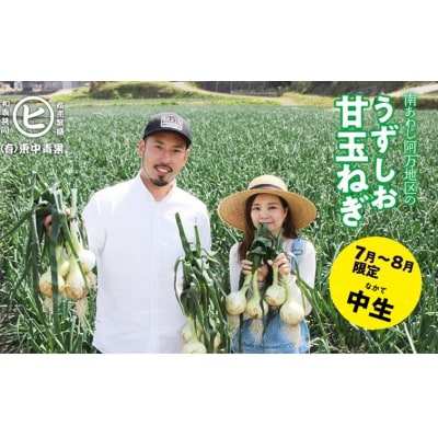 淡路島産うずしお甘玉ねぎ　5kg