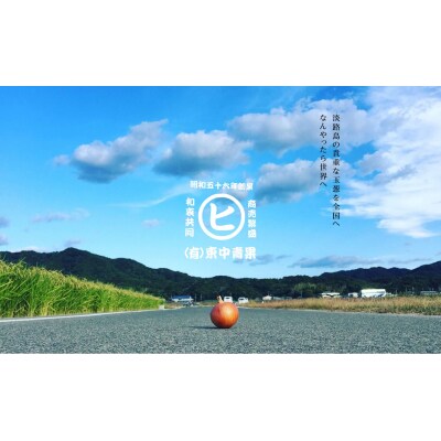 淡路島産うずしお甘玉ねぎ 5kg
