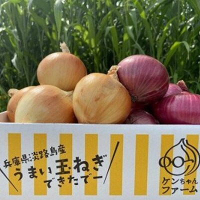 【ケンちゃんファーム】＼うまい玉ねぎできたでー/特別栽培・黄赤玉ねぎ食べ比べセット　5kg