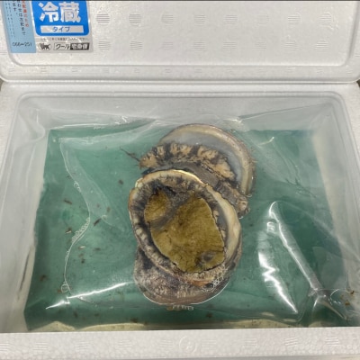 【花光】淡路島産天然活きアワビ
