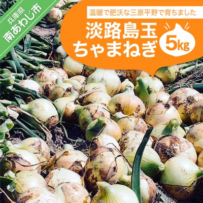 淡路島玉　ちゃまねぎ5kg
