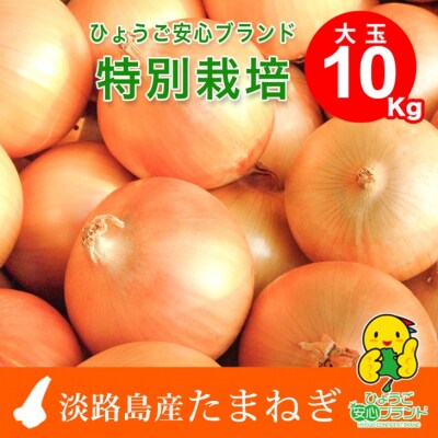玉ねぎ 20kg 特別栽培/010-13054-b01B | お礼品詳細 | ふるさと納税