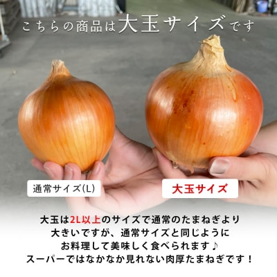 【あさひサンファーム】【大玉 5kg】ひょうご安心ブランド★特別栽培★淡路島たまねぎ