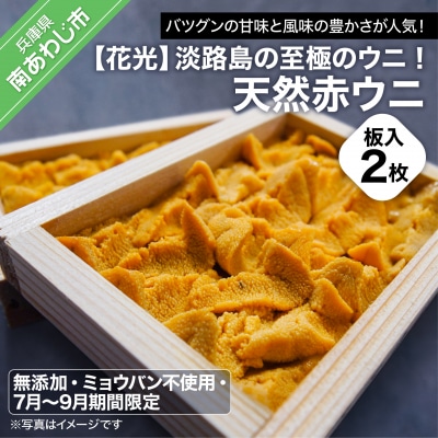 淡路島の至極のウニ!天然赤ウニ(板入2枚)【無添加・ミョウバン不使用・7月末～9月初旬発送予定】