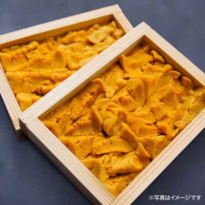 淡路島の至極のウニ!天然赤ウニ(板入2枚)【無添加・ミョウバン不使用・7月末～9月初旬発送予定】