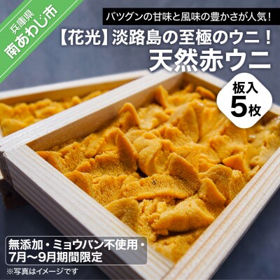 淡路島の至極のウニ!天然赤ウニ(板入5枚)【無添加・ミョウバン不使用・7月末～9月初旬発送予定】
