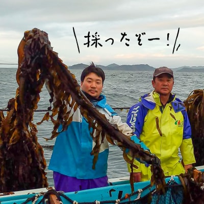 【漁師直送】湯通し塩蔵わかめ300g×2袋【淡路島鳴門海峡原産】