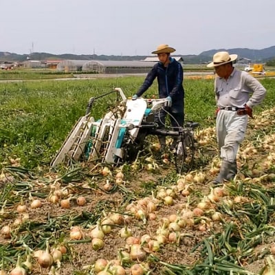 【新玉・ひょうご推奨ブランド】新玉ねぎ(淡路玉三郎)3kg ◆配送3月上旬～5月中