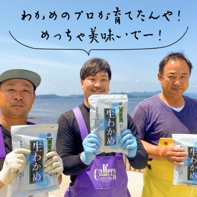 【漁師直送】湯通し塩蔵わかめ300g×7袋【淡路島鳴門海峡原産】
