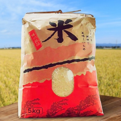 【令和7年産】淡路島 南あわじ産　お米(きぬむすめ)　10kg