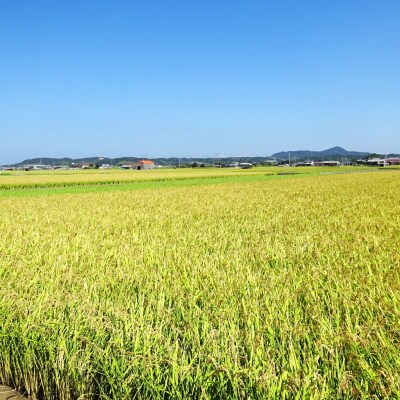 【SEAPA】令和4年淡路島産ミルキークイーン2kgとご飯のお供