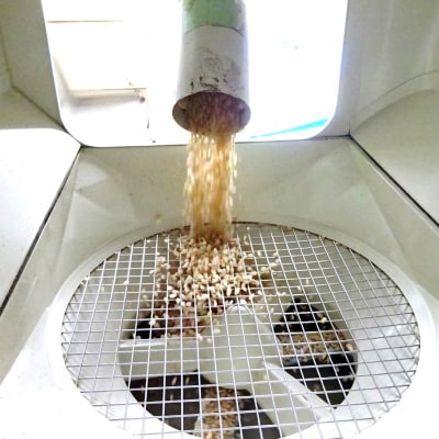 【SEAPA】令和4年淡路島産ミルキークイーン2kgとご飯のお供