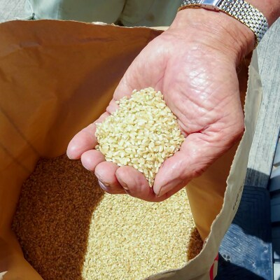 【SEAPA】令和4年淡路島産コシヒカリ2kgとご飯のお供