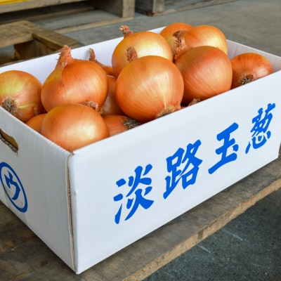 【淡路島の青果屋】淡路島産たまねぎ　10kg 甘さに自信!!ほんまもん!!