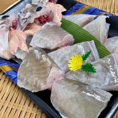 【花光】淡路産カワハギ鍋4人前(ウマヅラ)