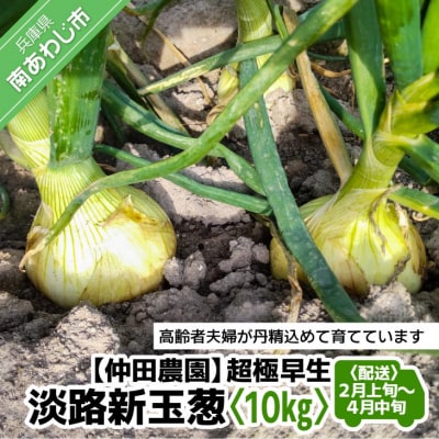 【新玉先行受付!】【仲田農園】超極早生新玉葱「福寿玉ねぎ」10kg◆配送2月上旬～4月中旬