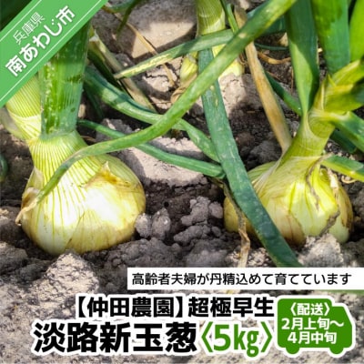 【新玉先行受付!】【仲田農園】超極早生新玉葱「福寿玉ねぎ」5kg◆配送2月上旬～4月中旬