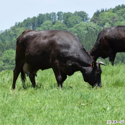 「6ヶ月定期便」淡路牛切り落とし900g(300g×3P)×6ヶ月