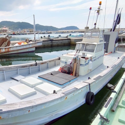 【淡路島丸山港発】釣り船 若松丸 乗船券(1名様1回券 乗合)