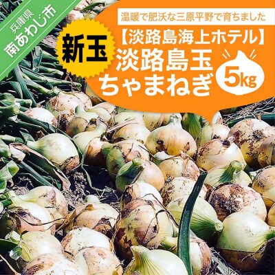 【海上ホテル】(新玉ねぎ)淡路島玉　ちゃまねぎ　5kg