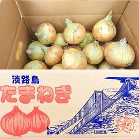 【youふぁーむ】【新玉受付】淡路島産新玉ねぎ 3kg◆配送2月中旬～