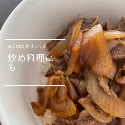 【農家の孫まっち】極甘玉ねぎ10kg