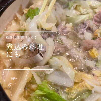 【農家の孫まっち】極甘玉ねぎ10kg