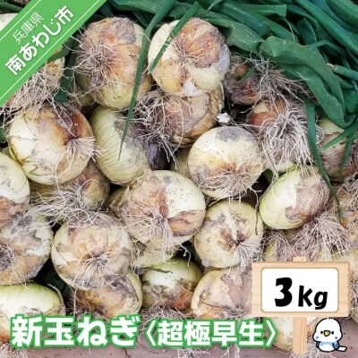 新玉ねぎ　淡路島　南あわじ市　3kg　超極早生【配送1月下旬～3月下旬】