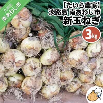 新玉ねぎ　淡路島　南あわじ市　3kg　◆配送4月～5月下旬