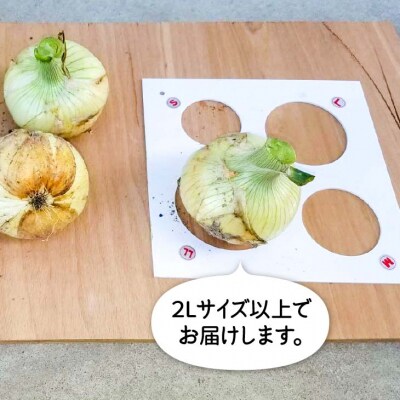 【栄福農園】新玉ねぎ　淡路島　南あわじ市　3kg　超極早生