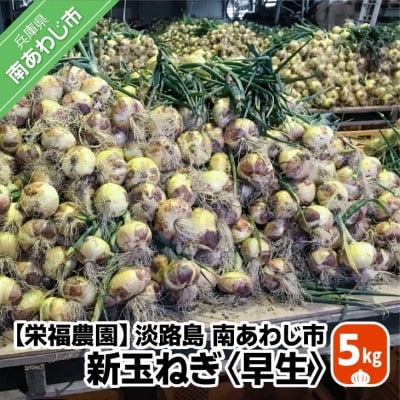 新玉ねぎ　淡路島　南あわじ市　5kg　早生　◆配送4月下旬～5月下旬