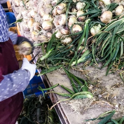 新玉ねぎ　淡路島南あわじ市 5kg 早生　◆配送4月下旬～5月下旬